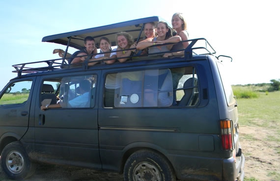 Safari Mini bus