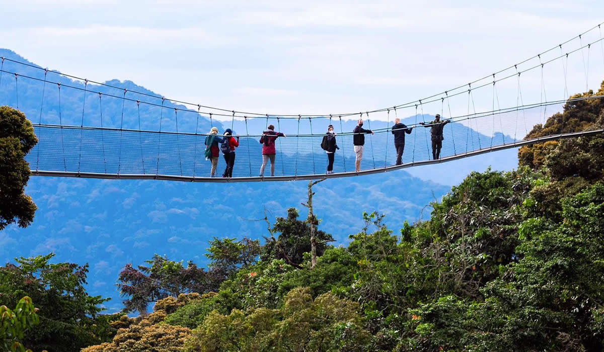 Nyungwe Forest National Park