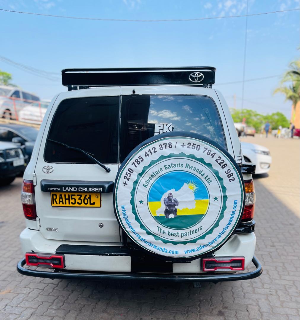 Car Rental for Gorilla Trekking in Volcanoes National Park